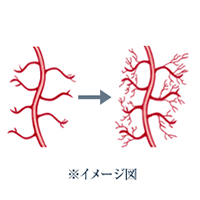 新血管生成イメージ図